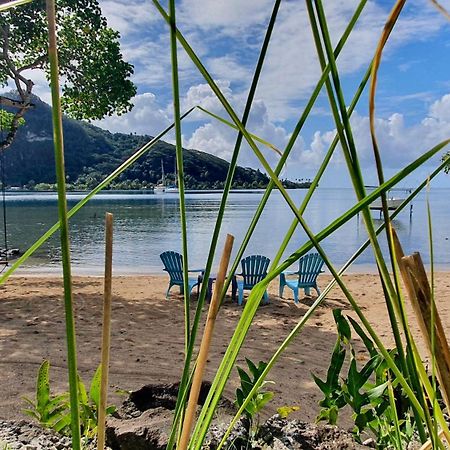 Raiatea, Opoa, Studio Du Fare Reve, Acces Mer Privatif Ngoại thất bức ảnh