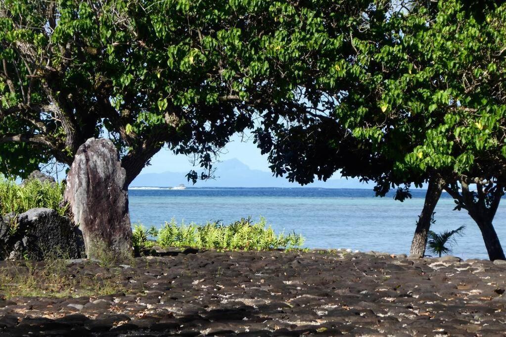 Raiatea, Opoa, Studio Du Fare Reve, Acces Mer Privatif Ngoại thất bức ảnh