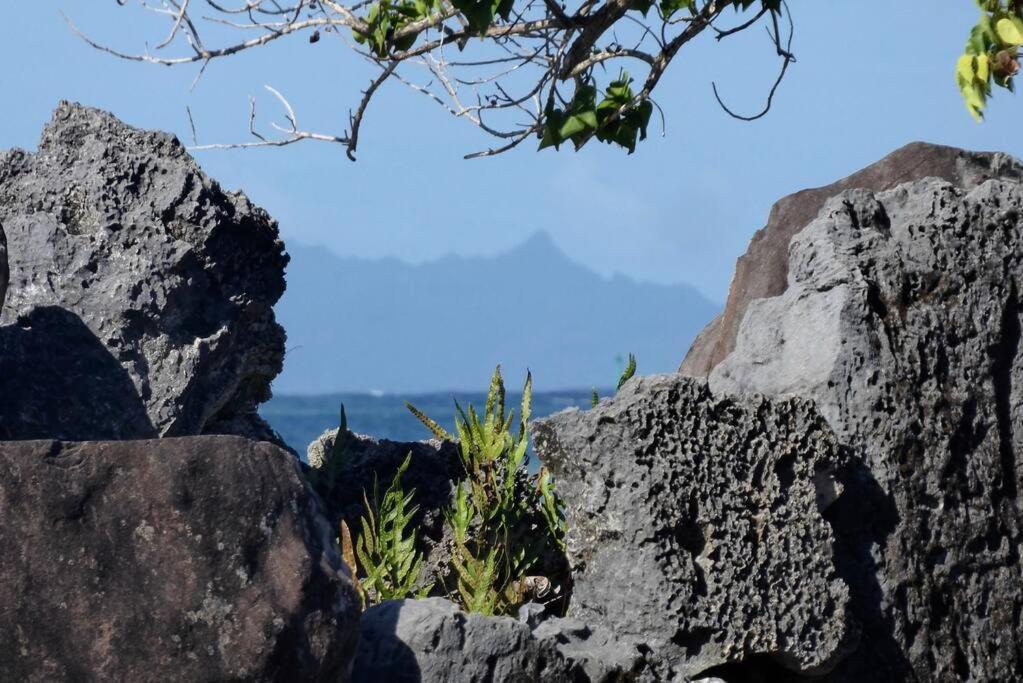 Raiatea, Opoa, Studio Du Fare Reve, Acces Mer Privatif Ngoại thất bức ảnh