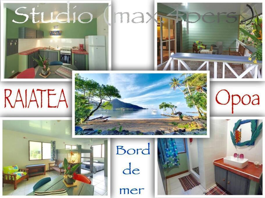 Raiatea, Opoa, Studio Du Fare Reve, Acces Mer Privatif Ngoại thất bức ảnh