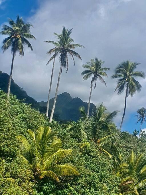 Raiatea, Opoa, Studio Du Fare Reve, Acces Mer Privatif Ngoại thất bức ảnh