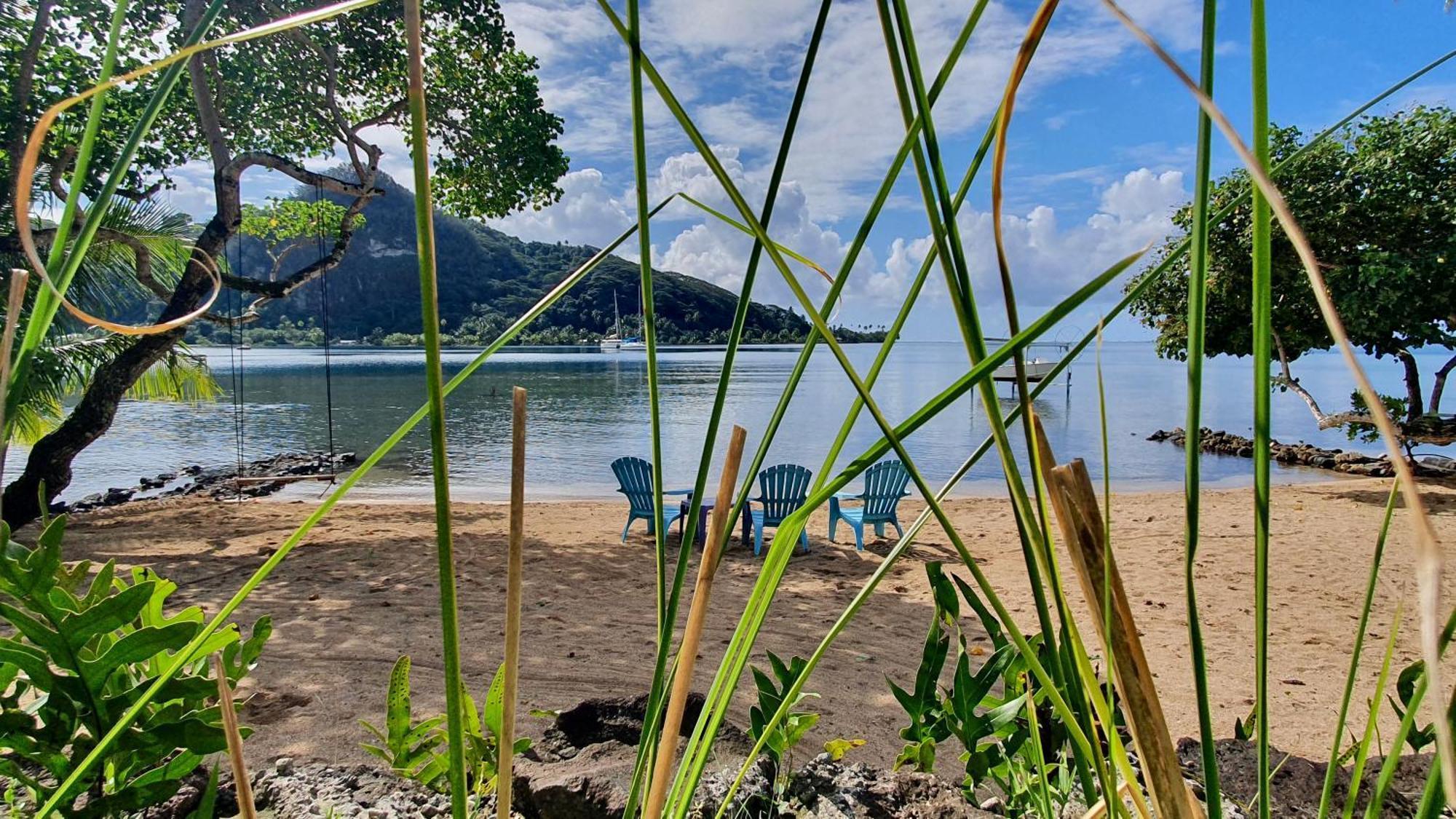 Raiatea, Opoa, Studio Du Fare Reve, Acces Mer Privatif Ngoại thất bức ảnh